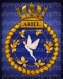 HMS Ariel Magnet